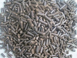 Bagasse Pellets