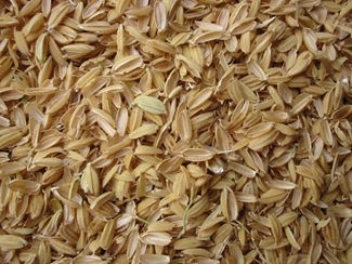 Rice Husks