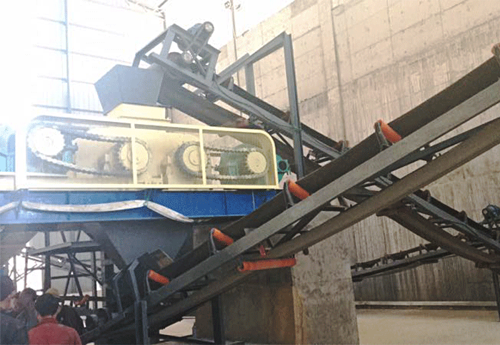 Toothed/Double Roll Crusher