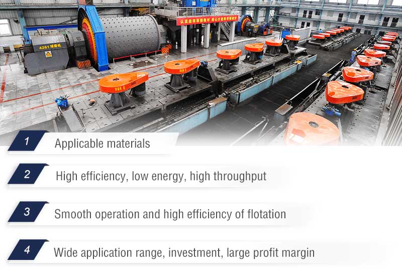 Flotation Plant Advantages.jpg