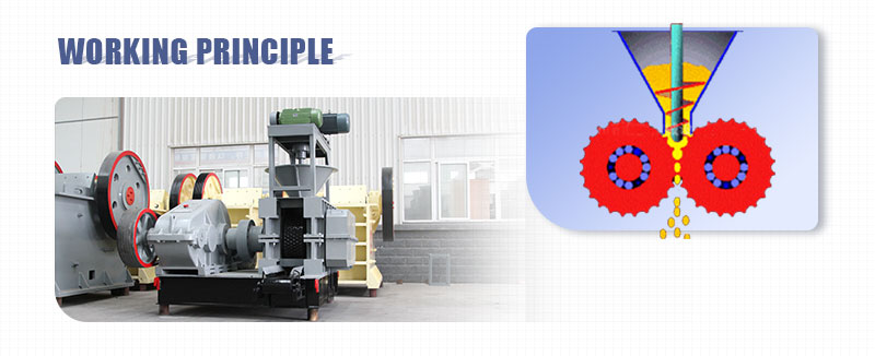 Metal Powder Briquetting Machine Working Principle.jpg