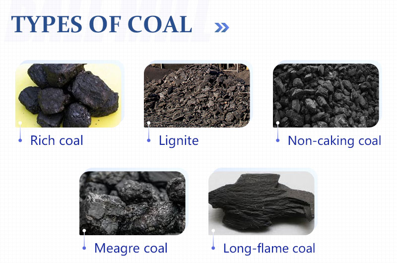 Types of Coal.jpg