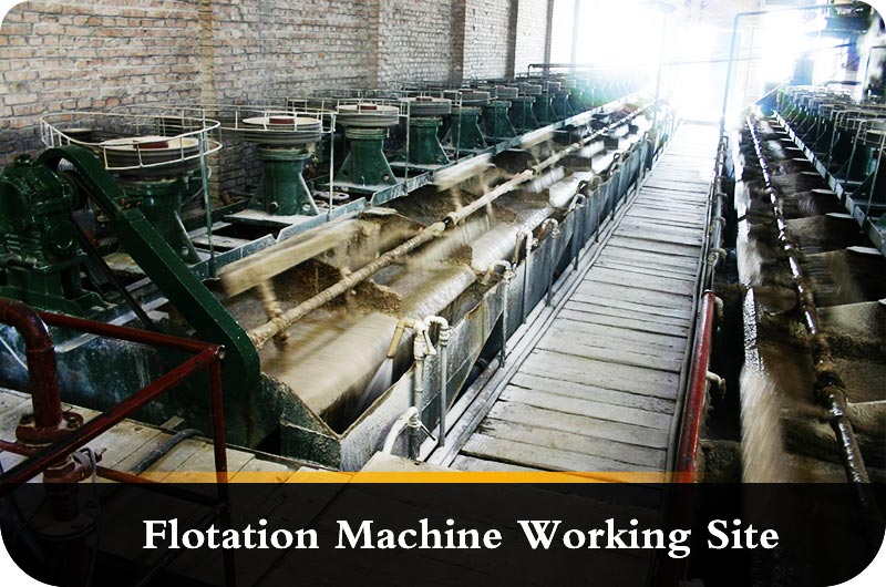 Working site of froth flotation .jpg